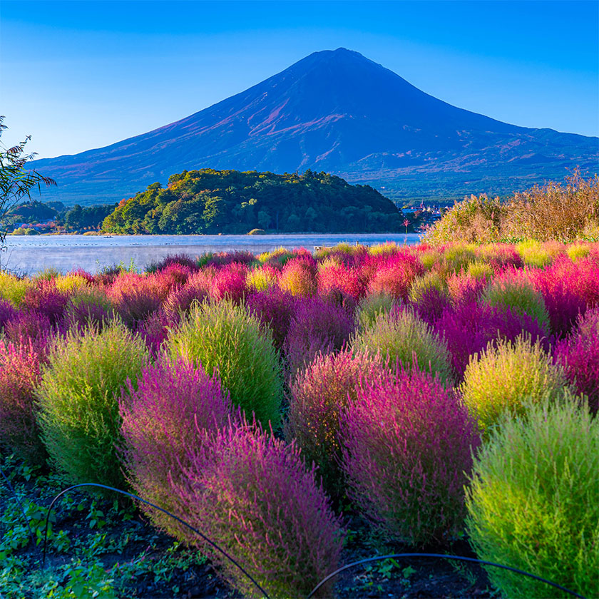 Tokyo →<br>
Lake Kawaguchi