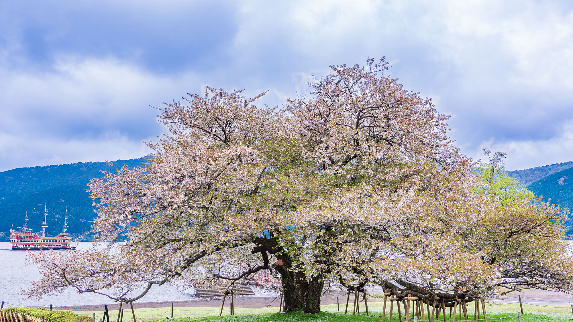 Springtime Sakura Journey – Discover Japan Beyond the Cities (13 Days)