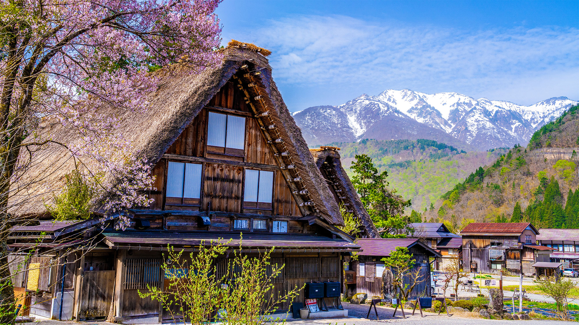 Springtime Sakura Journey – Discover Japan Beyond the Cities (13 Days)