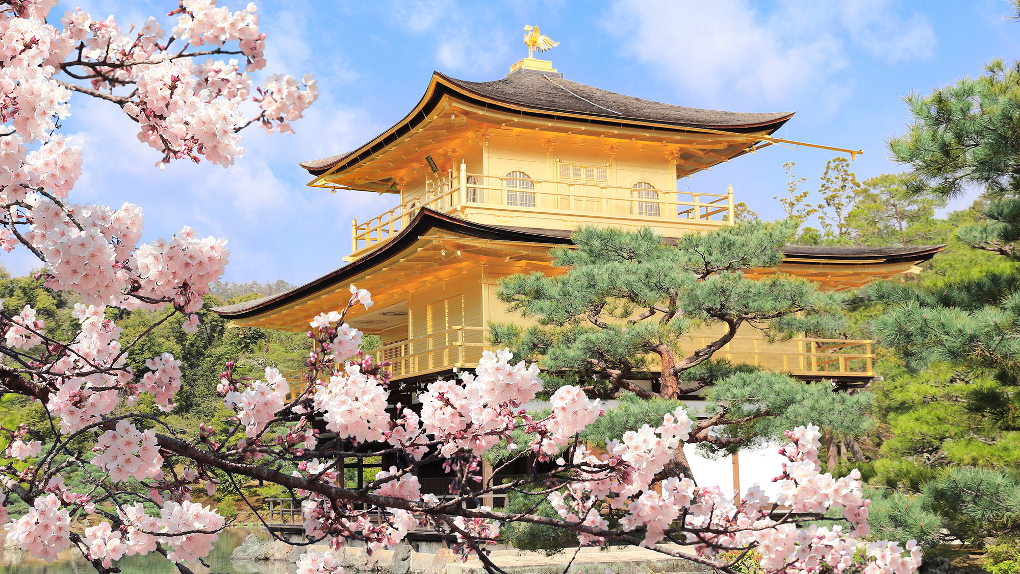 Springtime Sakura Journey – Discover Japan Beyond the Cities (13 Days)