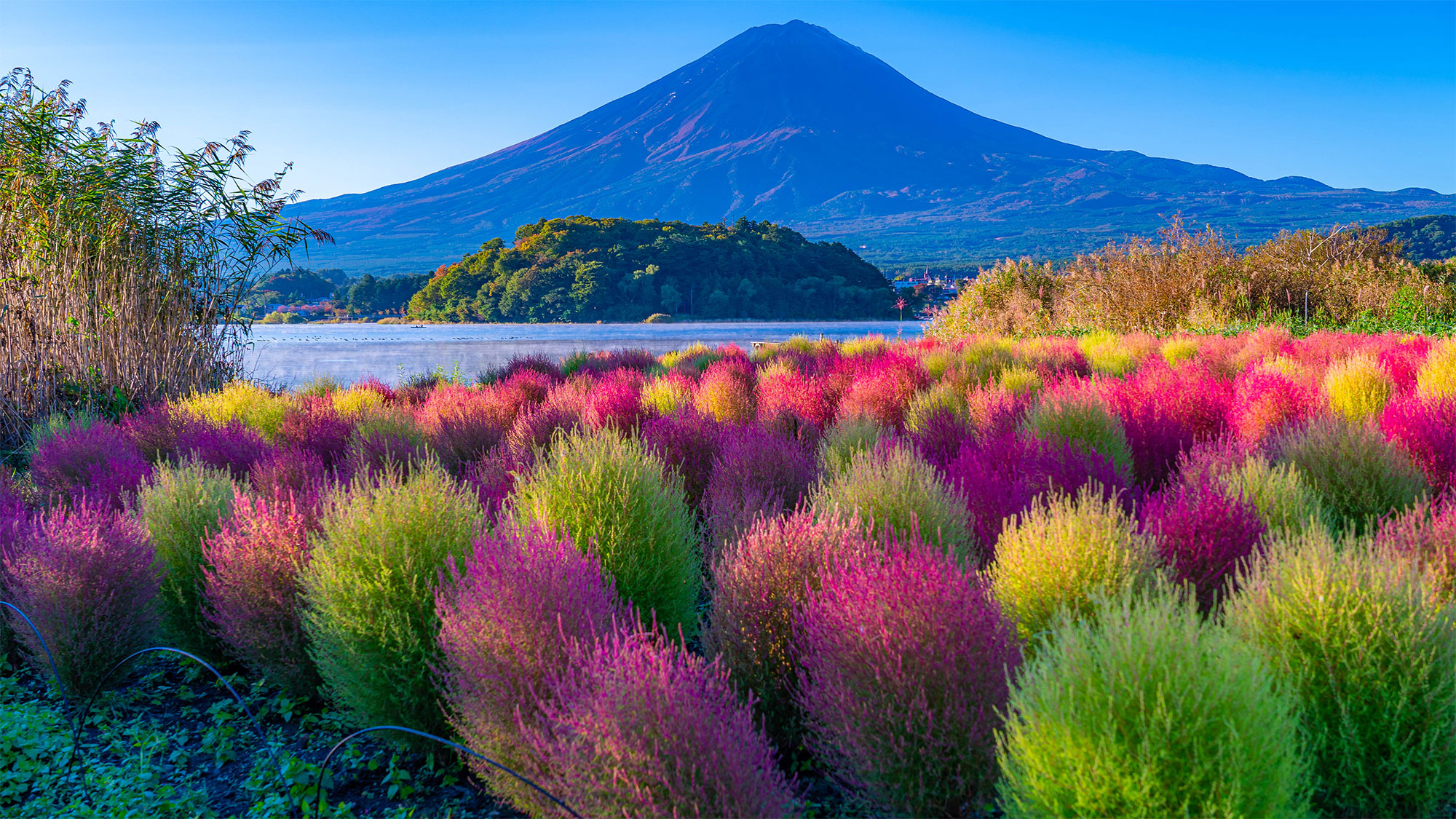 【A Fun & Cultural Adventure】9 days-Japan Discovery for Families