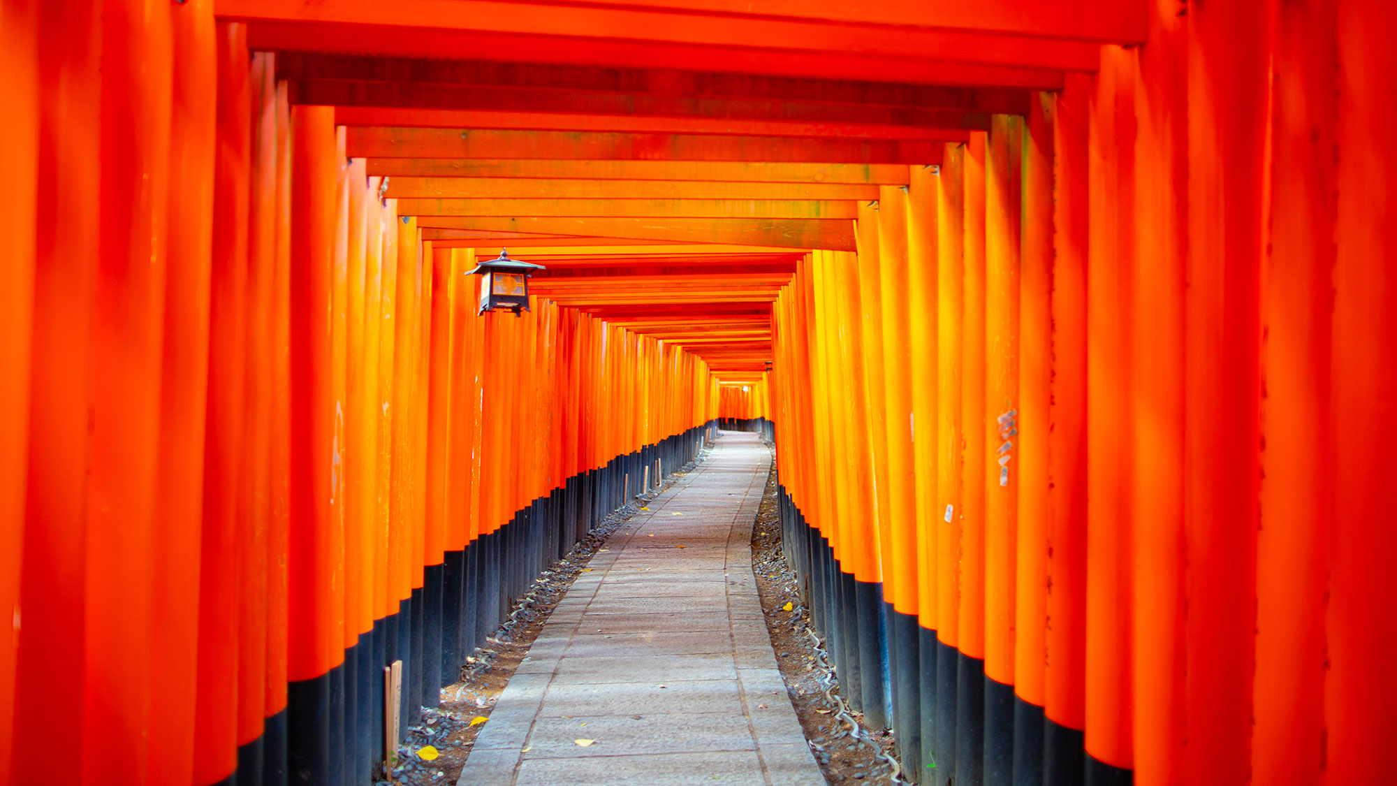 【A Fun & Cultural Adventure】9 days-Japan Discovery for Families