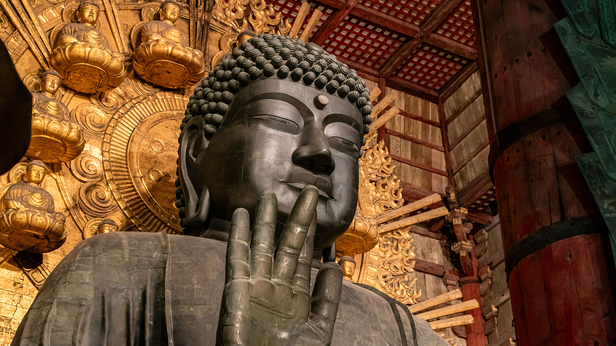 【Perfect for First-Time Visitors】8-Day Golden Route of Japan