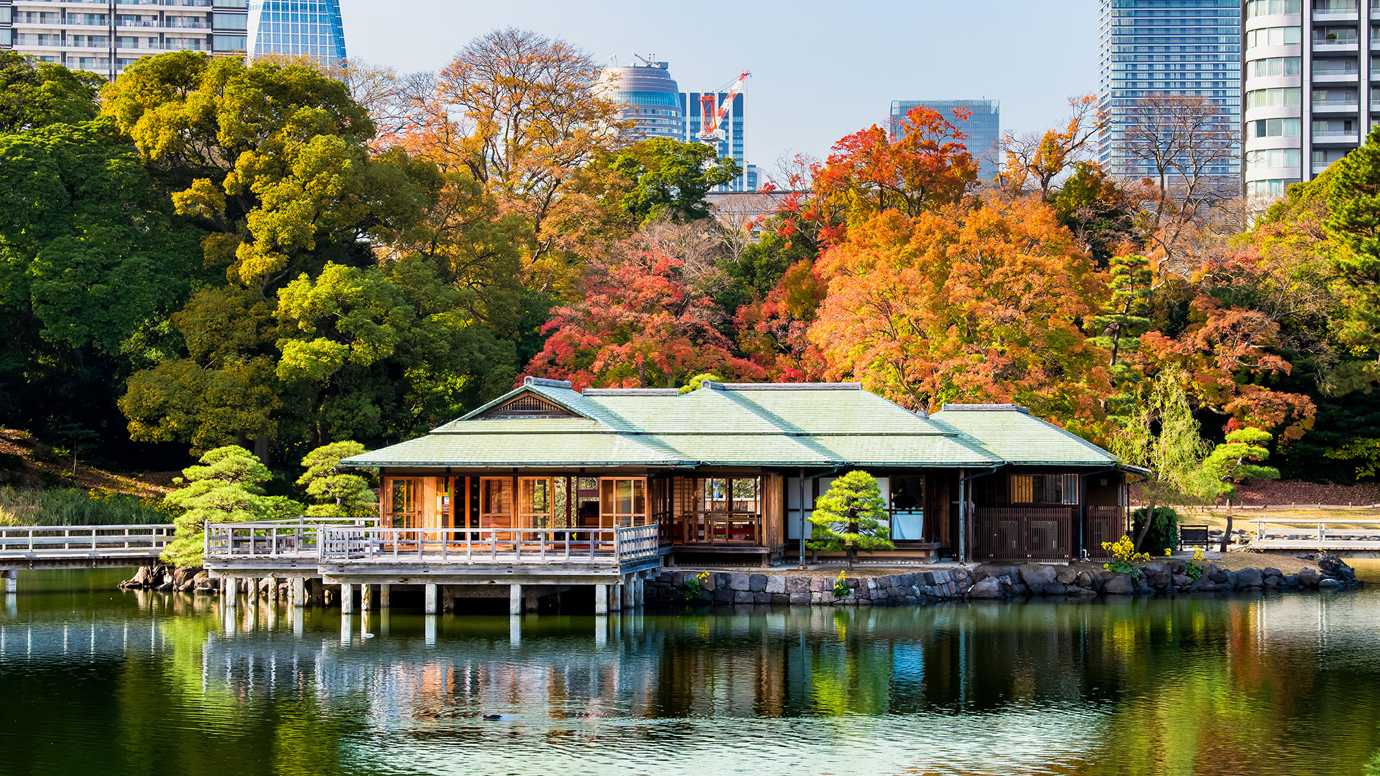 【Harmony of Japan】 Gardens, Architecture & Art
