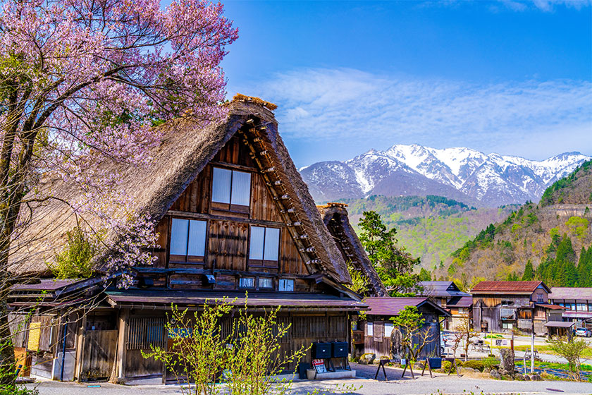 Excursion to Gokayama –<br>
Shirakawago