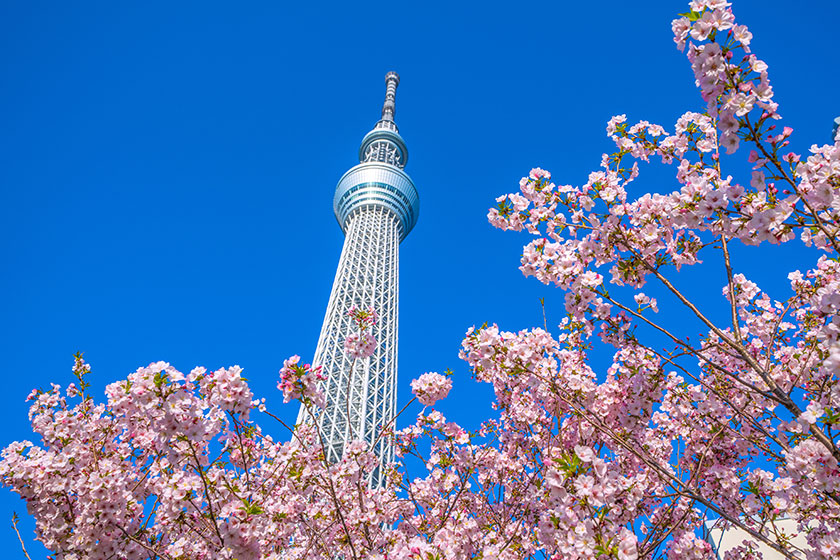 Tokyo Full-Day<br>
Sightseeing