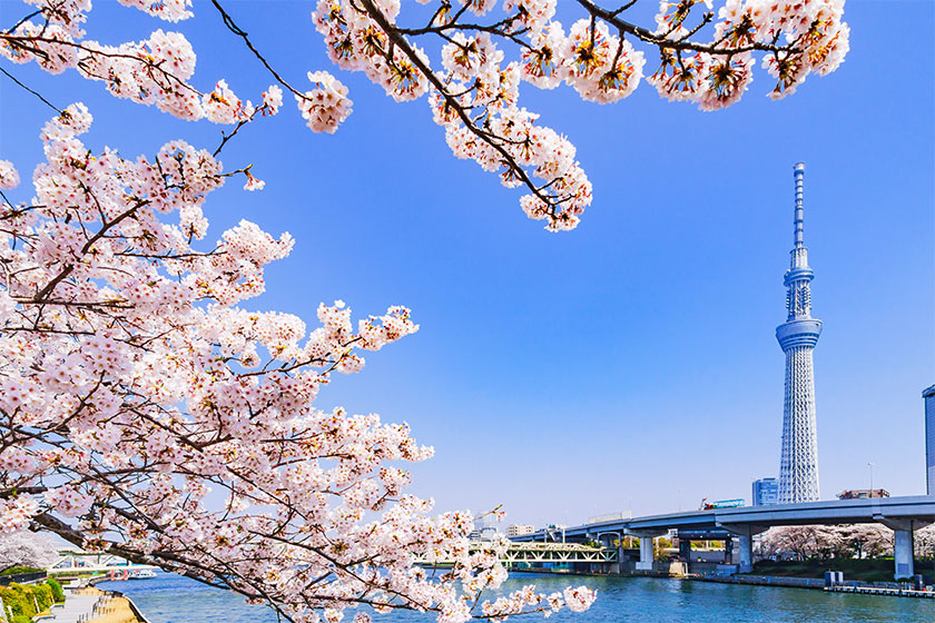 Tokyo Full-Day Sightseeing